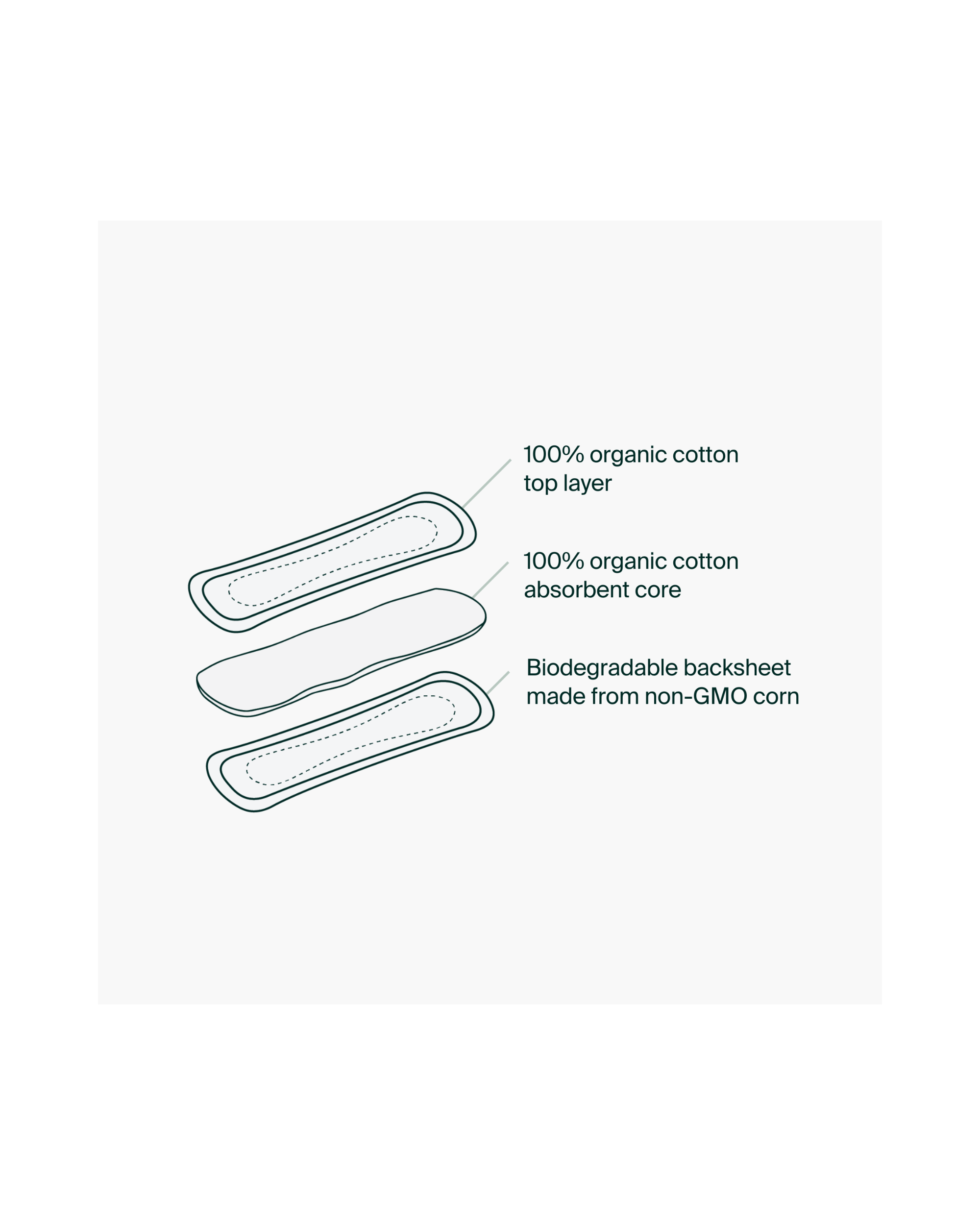 IRIS + ARLO | Organic Pantyliners